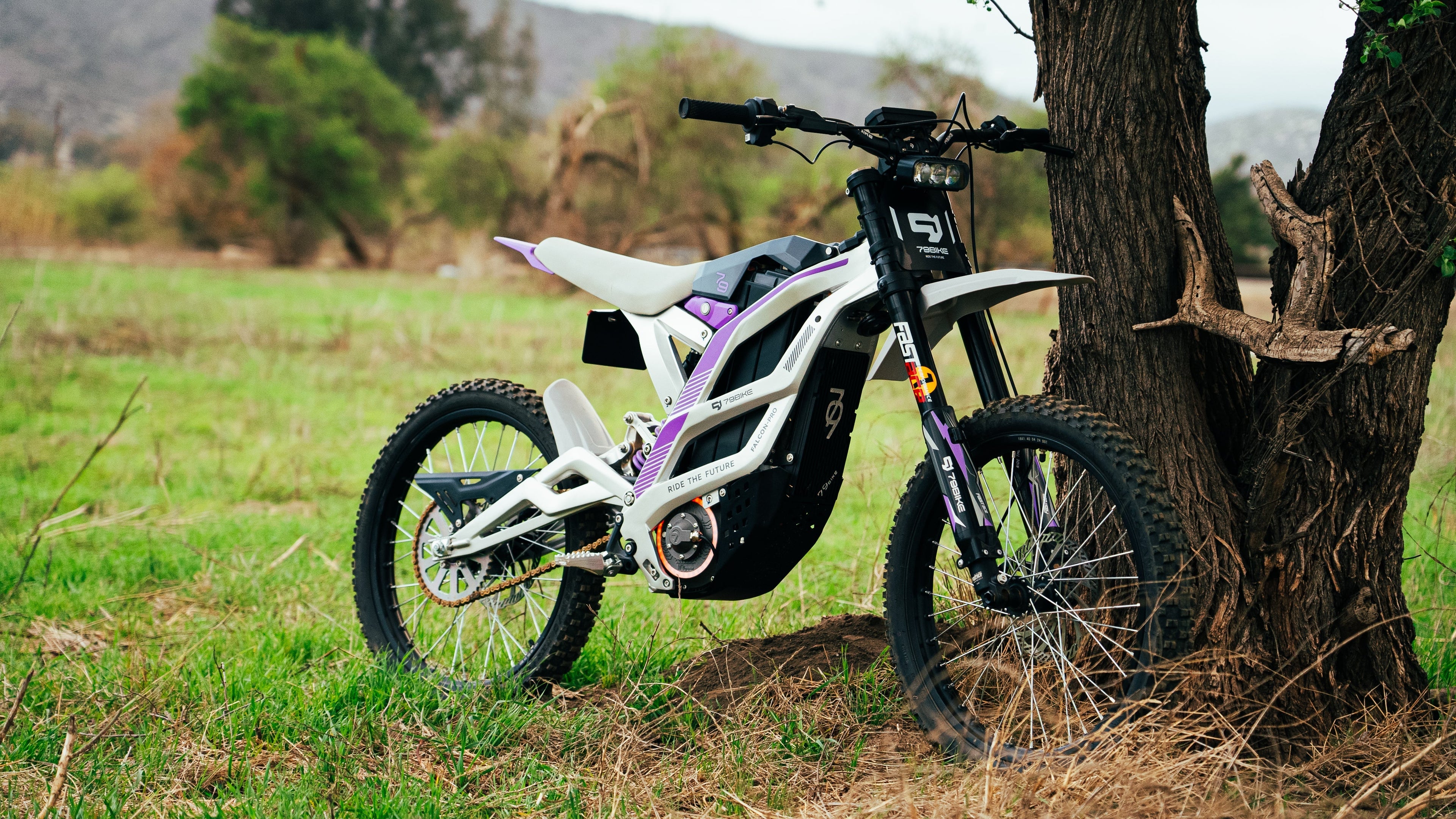 79Bike Falcon